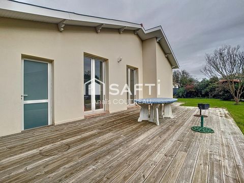 photo no. 8