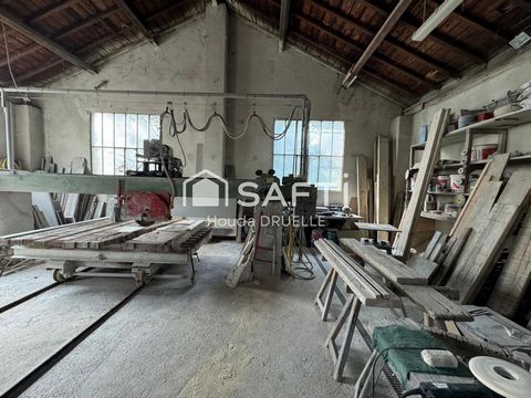 photo no. 8