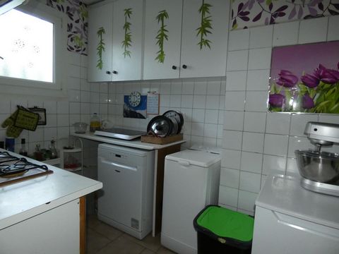 photo no. 8