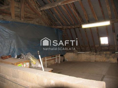 photo no. 12