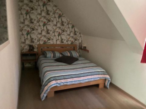 photo no. 12