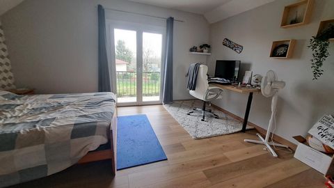 photo no. 16