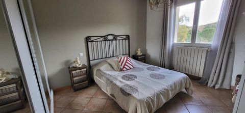 photo no. 12