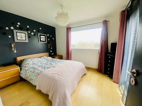 photo no. 9