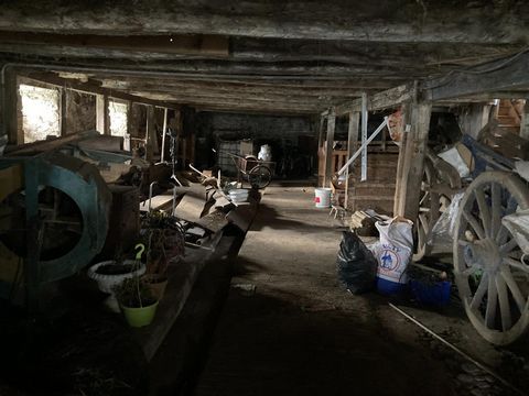 photo no. 6