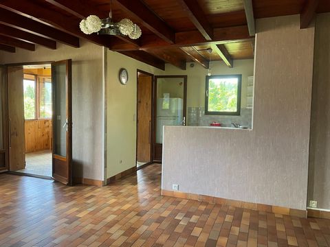 photo no. 8