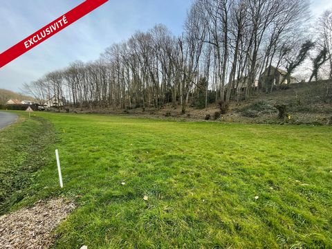 TERRAIN PLAT 1363m2