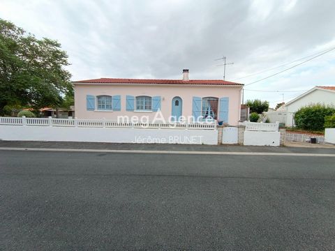 photo no. 10