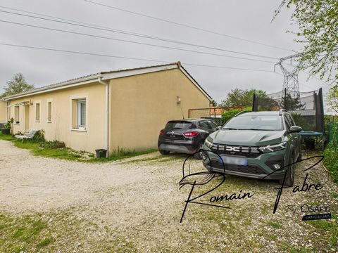 photo no. 9