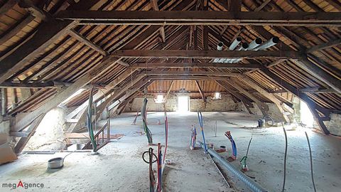photo no. 14