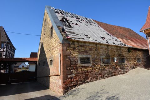 photo no. 1