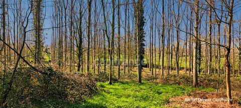 A VENDRE TERRAIN DE LOISIR A PANCE (35)