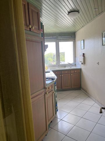 photo no. 6