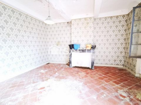 photo no. 8
