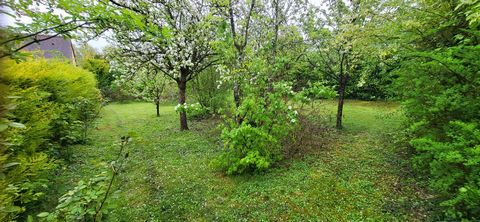 photo no. 10