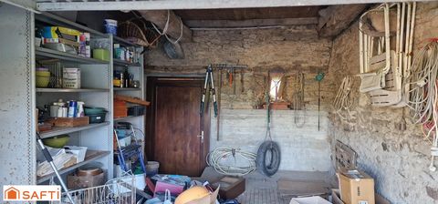 photo no. 14