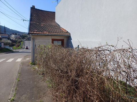 photo no. 2
