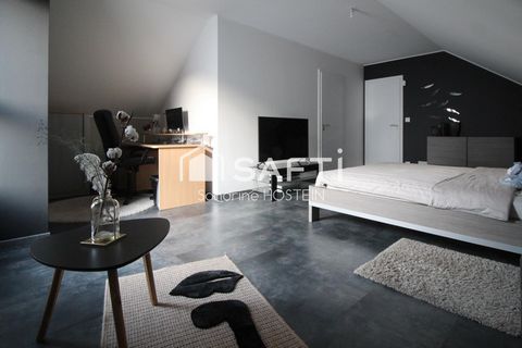 photo no. 8