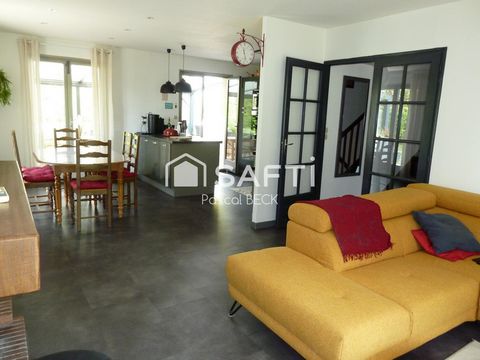 photo no. 9