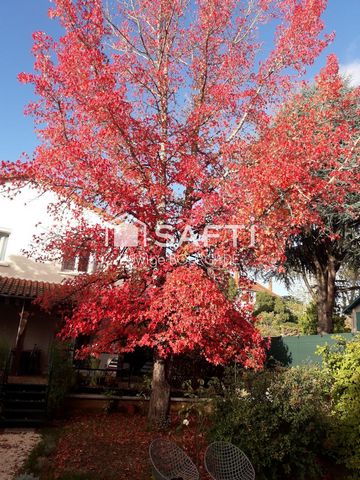 photo no. 14