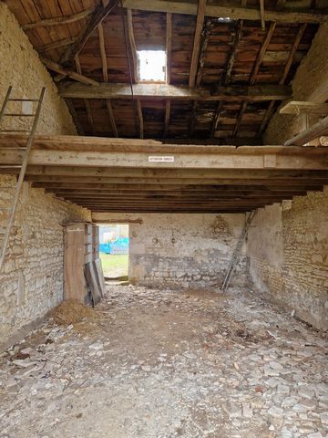 photo no. 3