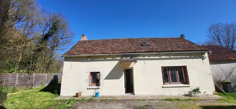 photo no. 1