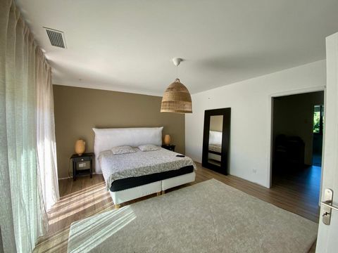 photo no. 6