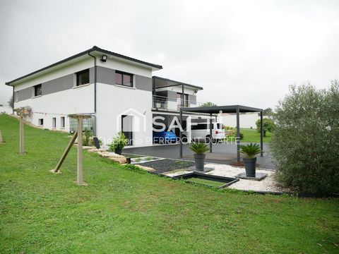 photo no. 13