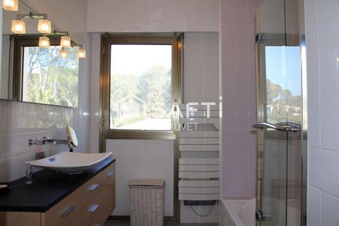 photo no. 8