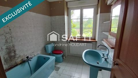photo no. 12