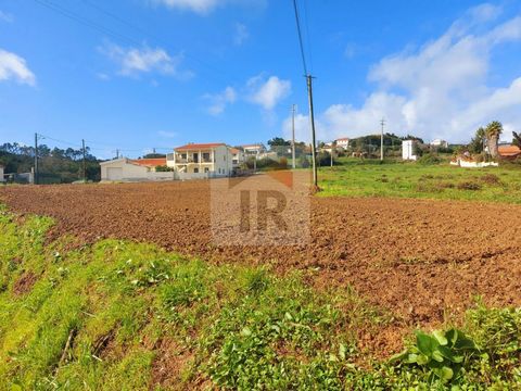 Lote urbano de 1162m² para construção (nível 3), permitindo a criação de uma ou até duas moradias. Localizado na Serra do Bouro, este terreno apresenta todas as infraestruturas necessárias no local. Com acessos excelentes, encontra-se a apenas alguns...