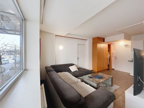 Appartement à vendre 2 pièces ANNEMASSE (74)