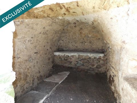 photo no. 10