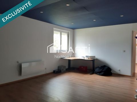 photo no. 11