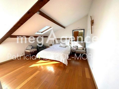 photo no. 11