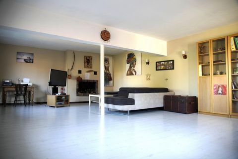 photo no. 6