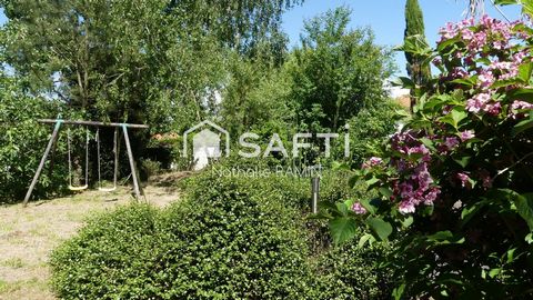photo no. 11