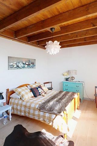 photo no. 8