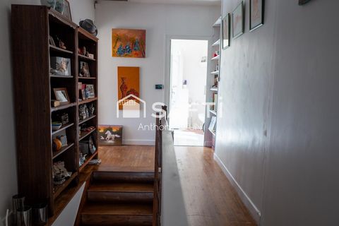 photo no. 8
