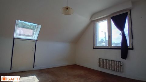 photo no. 11
