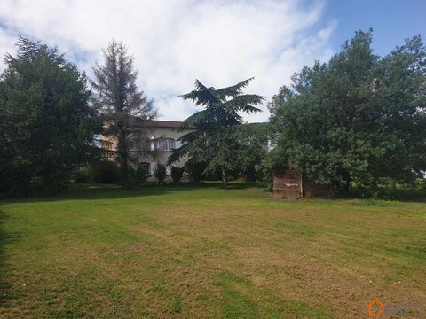 photo no. 10