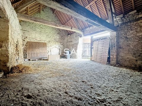 photo no. 8