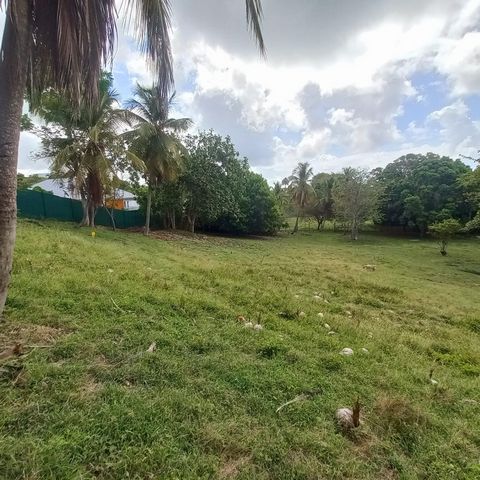 Terrain constructible à vendre DAMPIERRE LE GOSIER (971)
