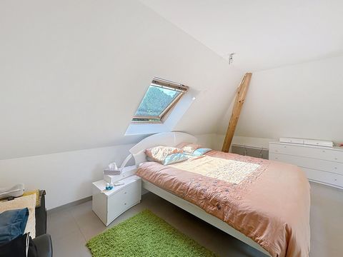 photo no. 8
