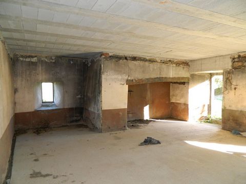 photo no. 4