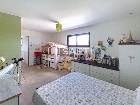 photo no. 13