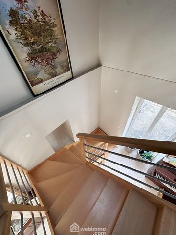 photo no. 12