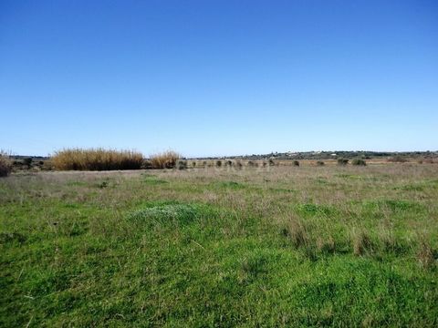 Rustic land, flat, easy access, in the municipality of Silves, near Lagoa, ideal for those looking for occupation for cultivation. Contact us!