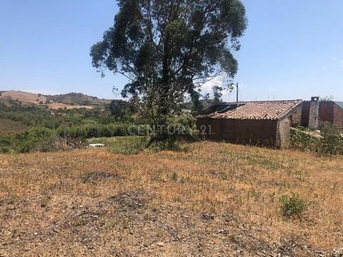 RESERVED 3 Hectares plot with a ruin located a few minutes from the beautiful village of São Bartolomeu de Messines. This plot has a project submitted to the Câmara de Silves for a house with 4 bedrooms, parking space and terrace. There is electricit...