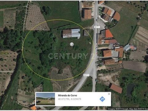 Land with 8000 meters, with preliminary feasibility for construction of six houses. It is a land with constructions that were used for sawing of woods. It consists of several articles. It is located just over a kilometer from Miranda do Corvo, which ...